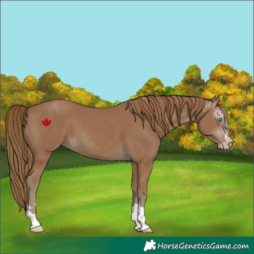 Horse Color:Gray Smoky Creme 