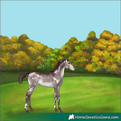 Horse Color:Platinum White Spotted Chocolate Brown Dun 