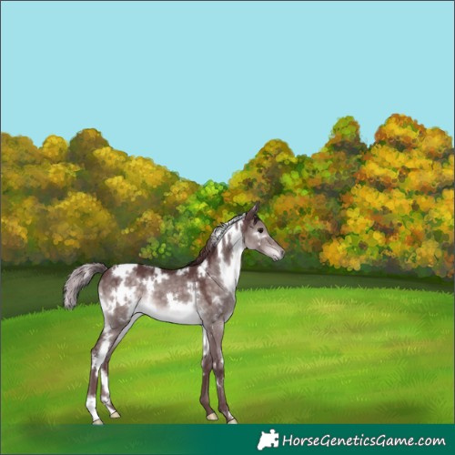 Horse Color:Platinum White Spotted Chocolate Brown Dun 