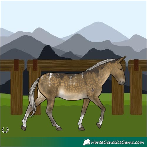 Horse Color:Powder White Silver Buckskin Dun Rabicano 