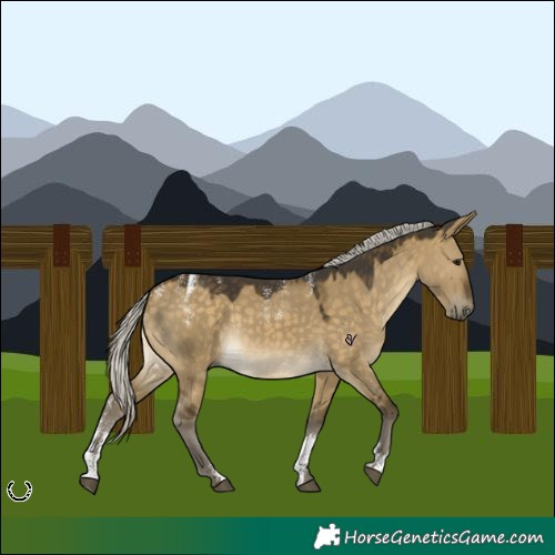 Horse Color:Powder White Silver Buckskin Dun Rabicano 