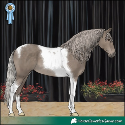 Horse Color:Silver Grullo Tobiano 
