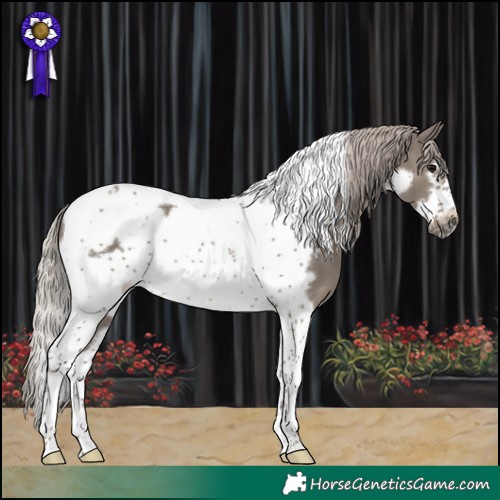Horse Color:Silver Grullo Tobiano Frame Rabicano 