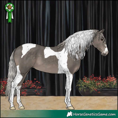 Horse Color:Silver Black Tobiano 