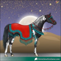 Horse Color:Brown Tobiano 