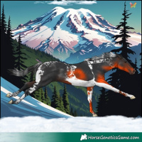 Horse Color:Brown Tobiano 