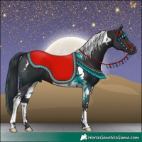 Horse Color:Brown Tobiano