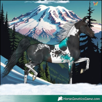 Horse Color:Brown Tobiano
