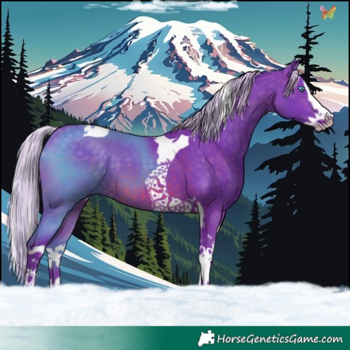 Horse Color:Watercolor Silver Brown Splash Tobiano 