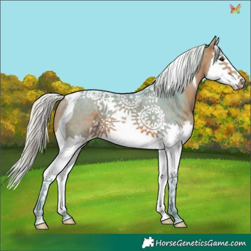 Horse Color:Watercolor Silver Bay Splash Tobiano 