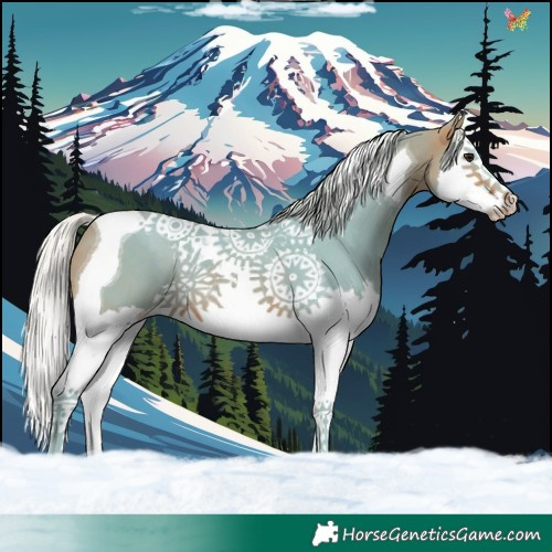 Horse Color:Watercolor Silver Bay Splash Tobiano