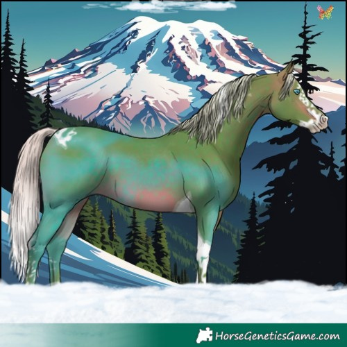 Horse Color:Watercolor Silver Brown Splash Tobiano 
