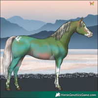 Horse Color:Watercolor Silver Brown Splash Tobiano