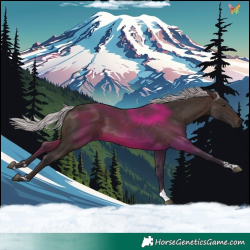 Horse Color:Silver Brown 