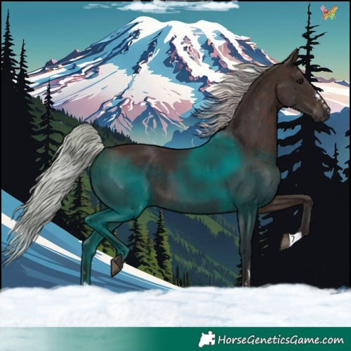 Horse Color:Silver Brown