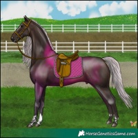 Horse Color:Silver Brown 