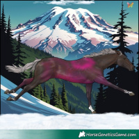 Horse Color:Silver Brown