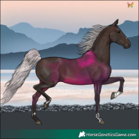 Horse Color:Silver Brown 