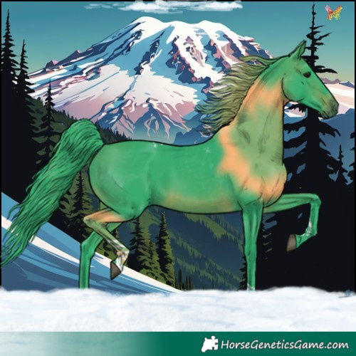 Horse Color:Watercolor Brown Tobiano