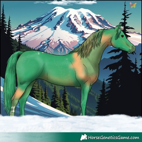 Horse Color:Watercolor Brown Tobiano 