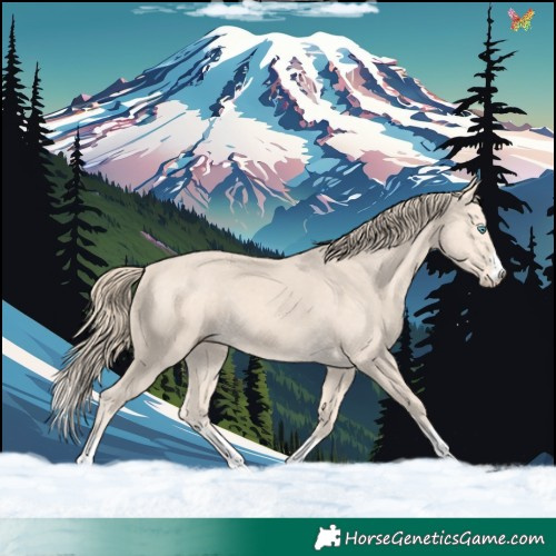 Horse Color:Perlino 