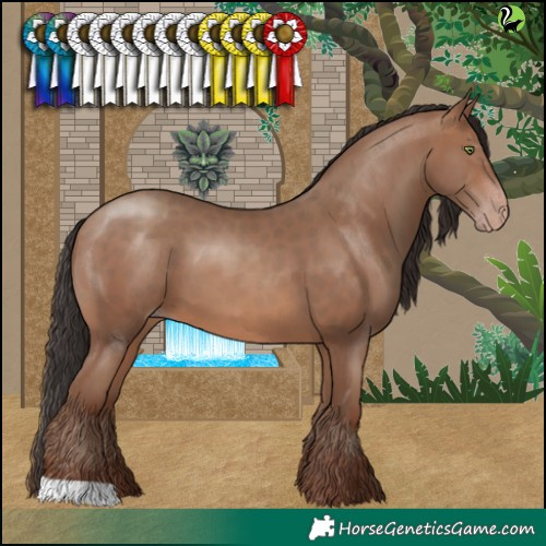 Horse Color:Sable Champagne 