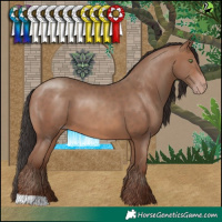 Horse Color:Sable Champagne 