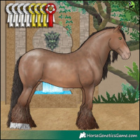 Horse Color:Sable Champagne 