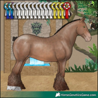 Horse Color:Sable Champagne 