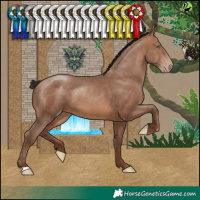 Horse Color:Sable Champagne