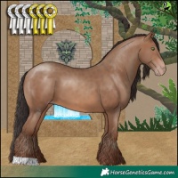 Horse Color:Sable Champagne 