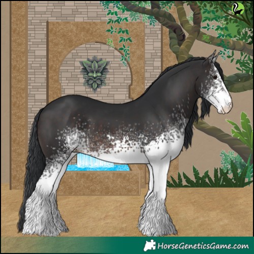 Horse Color:White Spotted Brown 