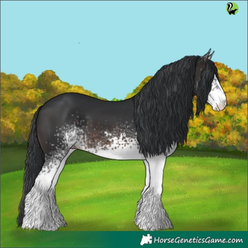 Horse Color:White Spotted Brown