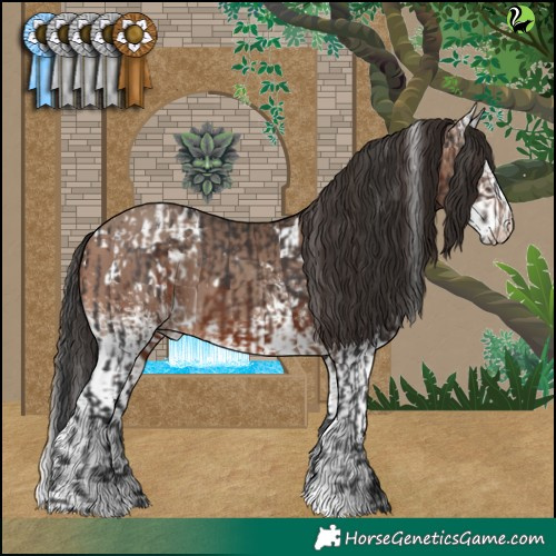 Horse Color:White Spotted Brown Appaloosa and White Spotted Sable Champagne