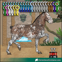 Horse Color:White Spotted Brown Varnish and White Spotted Sable Champagne