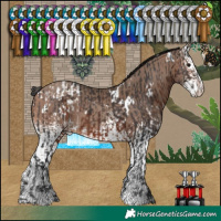Horse Color:White Spotted Brown Varnish  and White Spotted Sable Champagne 