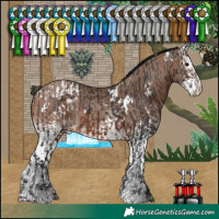 Horse Color:White Spotted Brown Varnish  and White Spotted Sable Champagne 