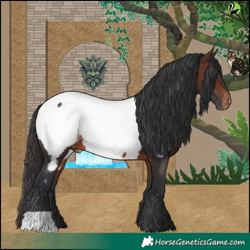 Horse Color:Brown Near Fewspot 