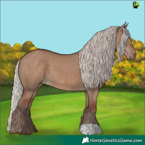 Horse Color:Silver Grullo 
