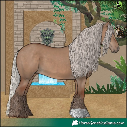 Horse Color:Silver Grullo 