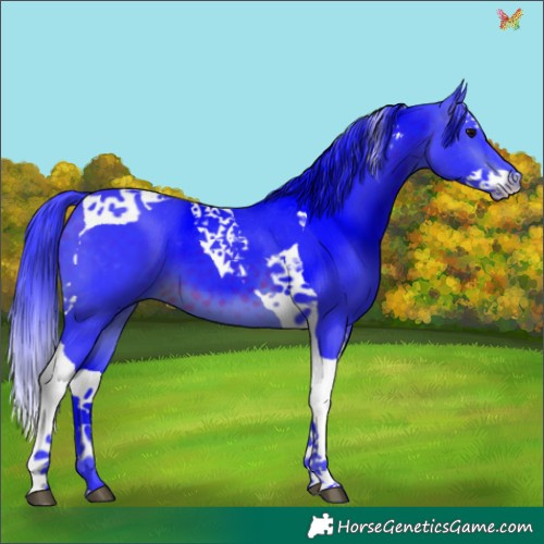 Horse Color:Watercolor Brown Splash Tobiano
