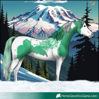 Horse Color:Watercolor Brown Splash Tobiano
