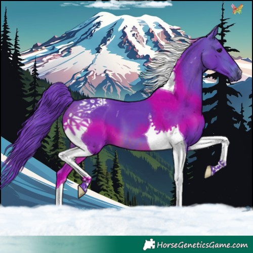 Horse Color:Watercolor Brown Tobiano 