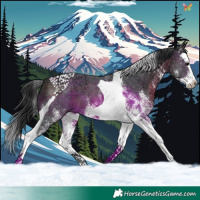 Horse Color:White Spotted Brown Splash Tobiano 