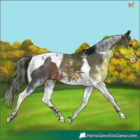 Horse Color:White Spotted Brown Splash Tobiano