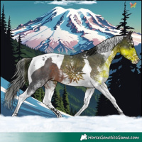 Horse Color:White Spotted Brown Splash Tobiano 