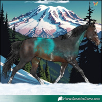 Horse Color:White Spotted Brown Tobiano