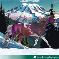 Horse Color:White Spotted Silver Brown Splash Tobiano 