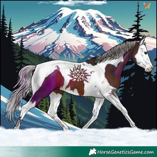 Horse Color:Silver Brown Splash Tobiano 