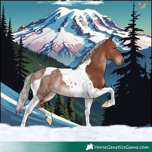 Horse Color:Silver Bay Ice Mushroom Tobiano Rabicano 